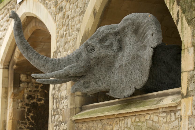 The Animals in the Tower: A Brief History of the Royal Menagerie